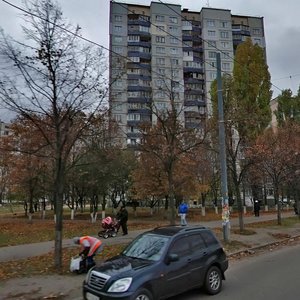 Marshala Yakubovskoho Street, No:9, Kiev: Fotoğraflar