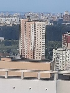Napalieona Ordy Street, 47, Minsk: photo