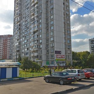 Samarkandsky Bulvar 137A Quarter, к1, Moscow: photo