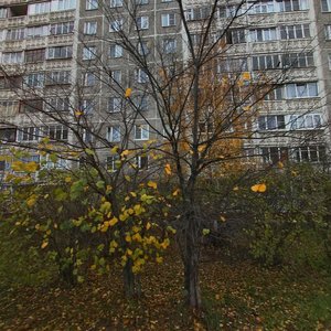 Efima Rubinchika Street, 16, Nizhny Novgorod: photo