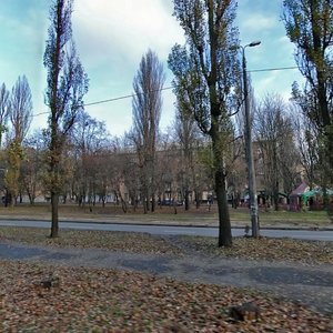 Vatslava Havela Boulevard, 49, Kyiv: photo