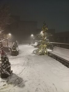 Zakaria Kanakertsi Street, 133 ، يريفان: صورة