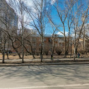 Shadrinsky Lane, 19, Yekaterinburg: photo