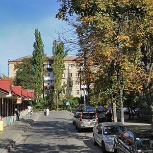 Profesora Pidvysotskoho Street, 5, Kyiv: photo