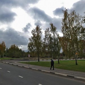 Frunze Avenue, 46 ، ياروسلافل: صورة