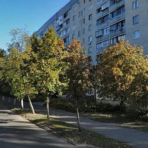 Novopolova Street, 97А, Kyiv: photo