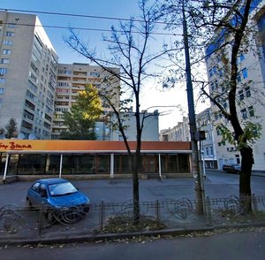 Moskovska Street, 17, Kyiv: photo