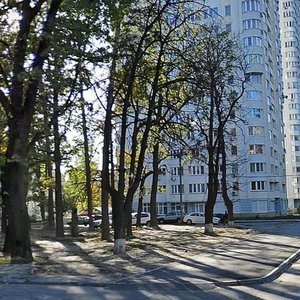 Verkhovynna Street, 35, Kyiv: photo