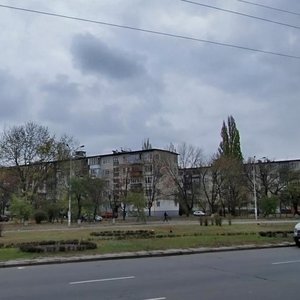Bratyslavska Street, 8, Kyiv: photo
