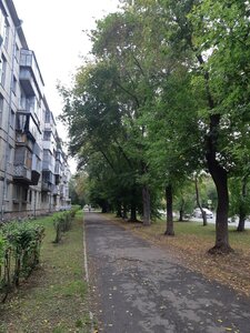 Domenshchikov Street, 7, Magnitogorsk: photo