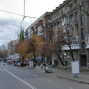 Lva Tolstoho Street, 16, Kyiv: photo