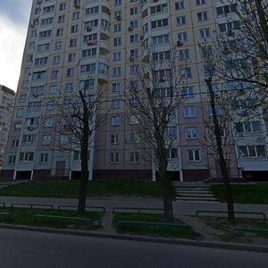 Bolshaya Ochakovskaya Street, 26, : foto