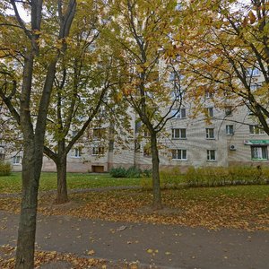 Charnyshewskaga Street, 11, Minsk: photo