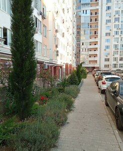 Севастополь, Парковая улица, 12: фото