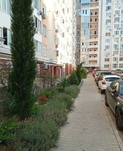 Parkovaya Street, 12, Sevastopol: photo