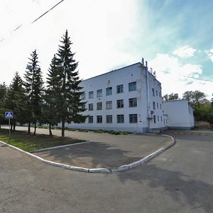 Gruzinskaya Street, 25, Saransk: photo