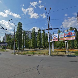 Воронеж, Московский проспект, 91: фото