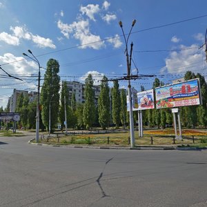 Moskovskiy Avenue, 91, Voronezh: photo