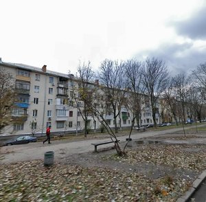 Marii Pryimachenko Boulevard, 4, Kyiv: photo