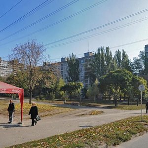 Istorychna vulytsia, 20Б ، زابوروجي: صورة