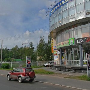 Troitskiy Avenue, 113 ، : صورة