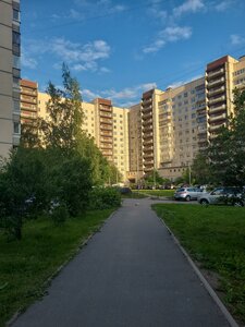 Korablestroiteley Street, 36/1, Saint Petersburg: photo