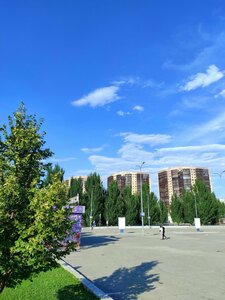 Волжский, Улица Мира, 55: фото