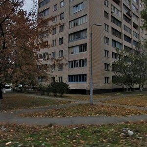 Lesia Kurbasa Avenue, 3Б, Kyiv: photo