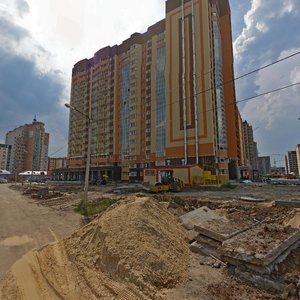 Shishkova Street, 142, Voronezh: photo