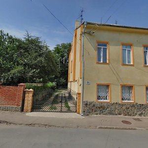 Vulytsia Lukiana Kobylytsi, 95 ، : صورة