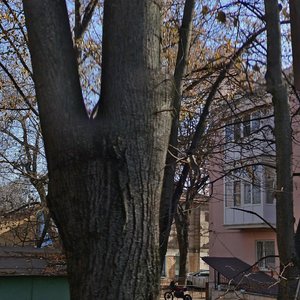 Oktyabrskaya ulitsa, 56, : foto