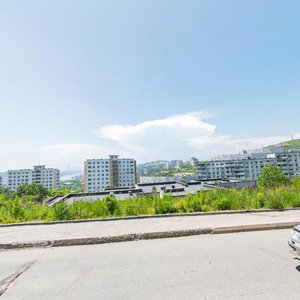 Neybuta Street, 28, Vladivostok: photo