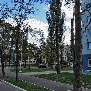 Krakivska Street, 20, Kyiv: photo