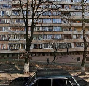 Pechenizka Street, 35/43, Kyiv: photo