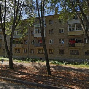 Vavilova Street, 4, Dubna: photo