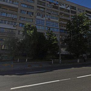 Lva Tolstoho Street, 22, Kyiv: photo