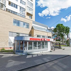 Sovetskikh Kosmonavtov Avenue, 100с1, : foto