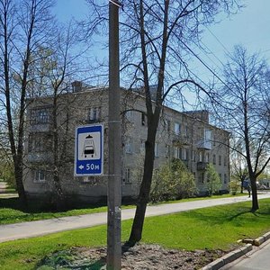 Ozerkovaya Street, 7, Peterhof: photo