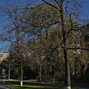 Moskovskaya Street, 2, : foto