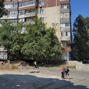 Kosmonavta Komarova Street, 1, Dnipro: photo