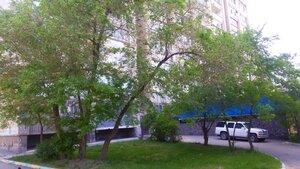 Sibiryakov-Gvardeytsev Street, 44/4, Novosibirsk: photo