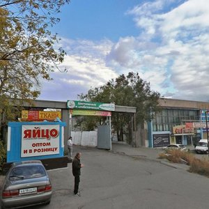 Chelyuskintsev Street, 82А, Barnaul: photo