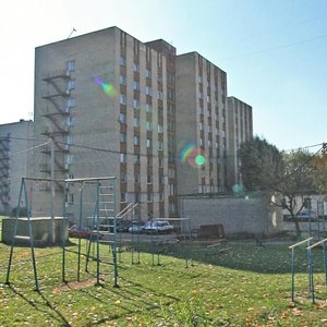 Sofji Kavaliewskaj Lane, 57А, Minsk: photo