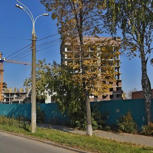 Ижевск, Улица Орджоникидзе, 55: фото