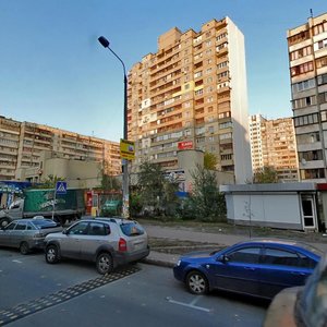 Larysy Rudenko Street, 11 ، كييف: صورة
