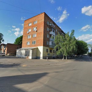 Vulytsia Lesi Ukrainky, 16, : foto