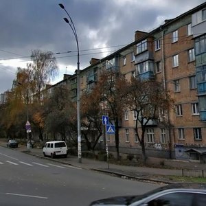 Volynska Street, 2, Kyiv: photo