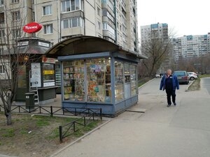 Korablestroiteley Street, 36А, Saint Petersburg: photo