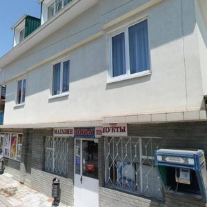 Chkalova Street, 38А ، : صورة