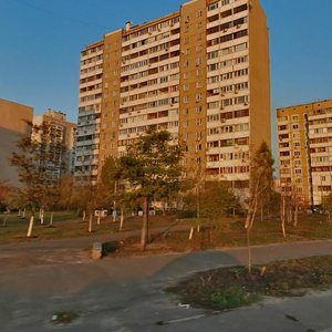 Borysa Hmyri Street, 11 ، كييف: صورة